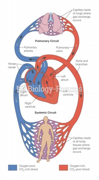 Pulmonary and systemic circulation