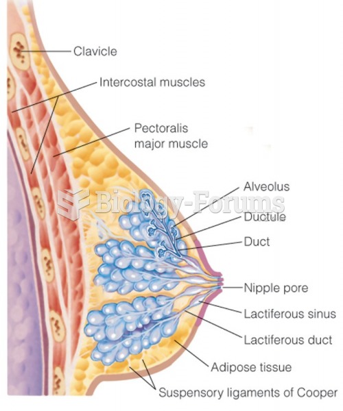 Anterior and lateral views of breast anatomy