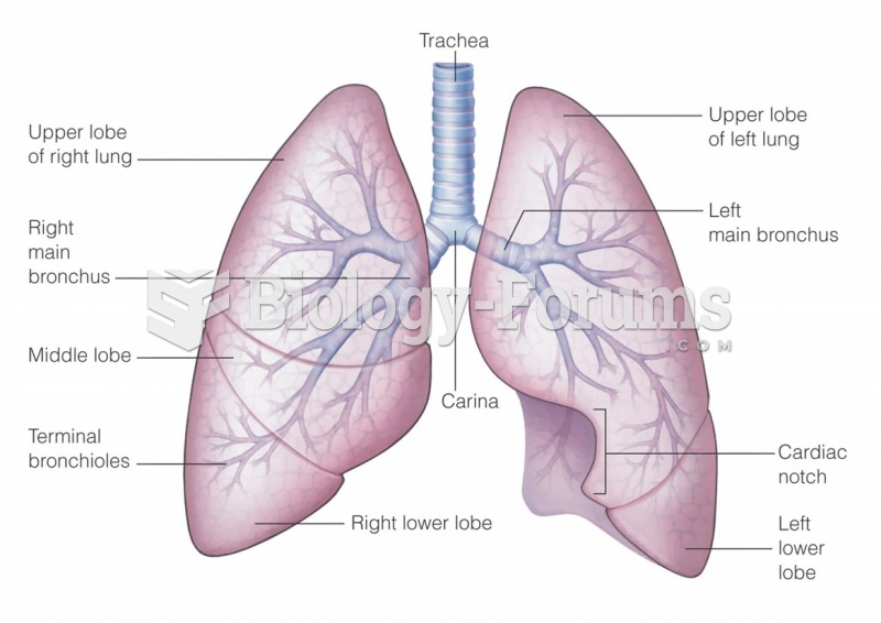 Respiratory passages