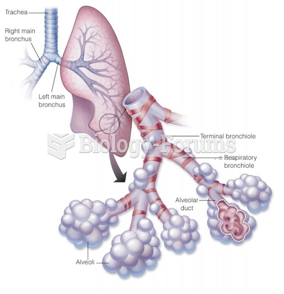 Respiratory bronchioles, alveolar ducts, and alveoli