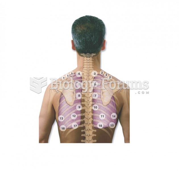 Pattern for auscultation: Posterior thorax