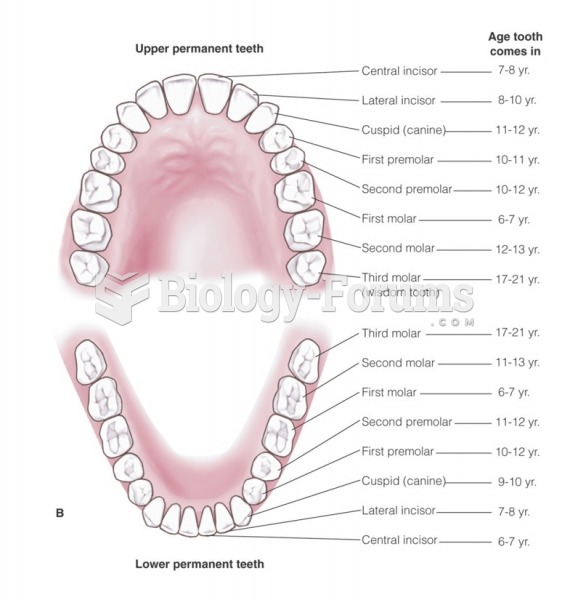Deciduous and permanent teeth