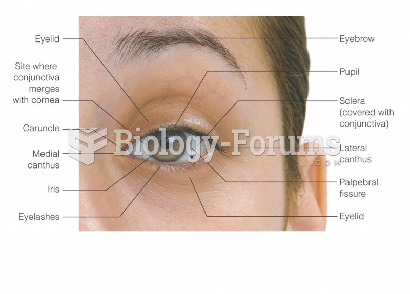 Structures of the external eye