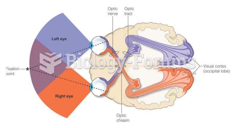 Visual fields of the eye and the visual pathway to the brain