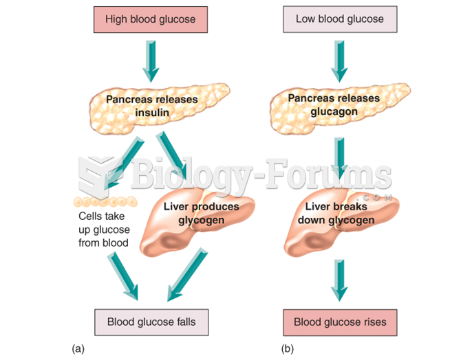 Insulin, glucagon and blood glucose levels