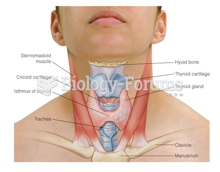 Structures of the neck