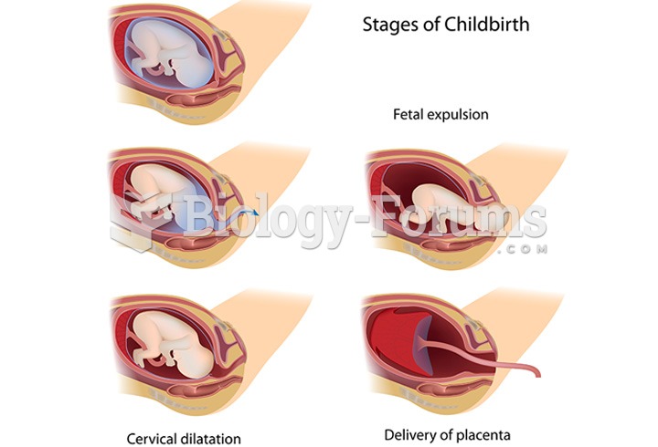 The Stages of Childbirth