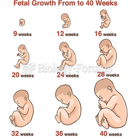 Week by week fetus growth