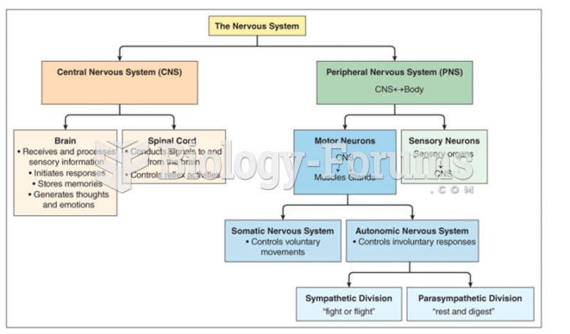 Function divisions of nervous system