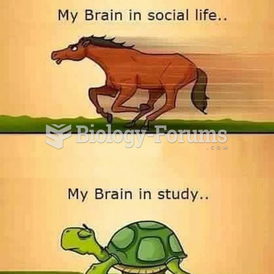 My brain in social media and studies