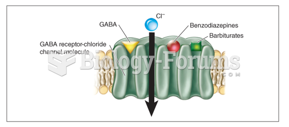 Model of GABA - receptor chloride channel