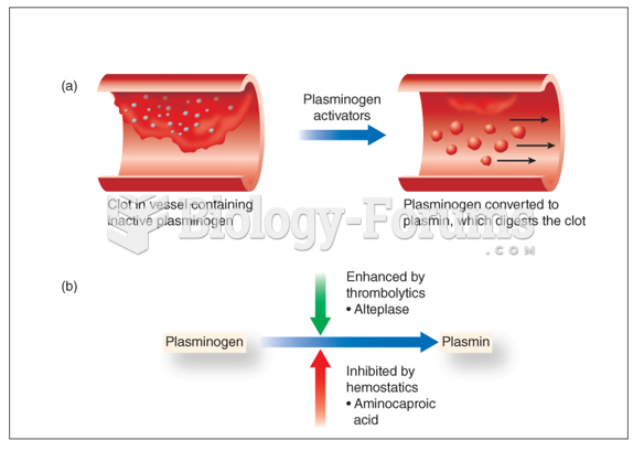 Primary steps in fibrinolysis