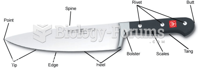 Parts  or anatomy of  a Knife
