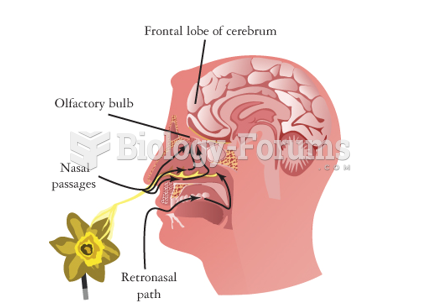 The Human Olfactory System