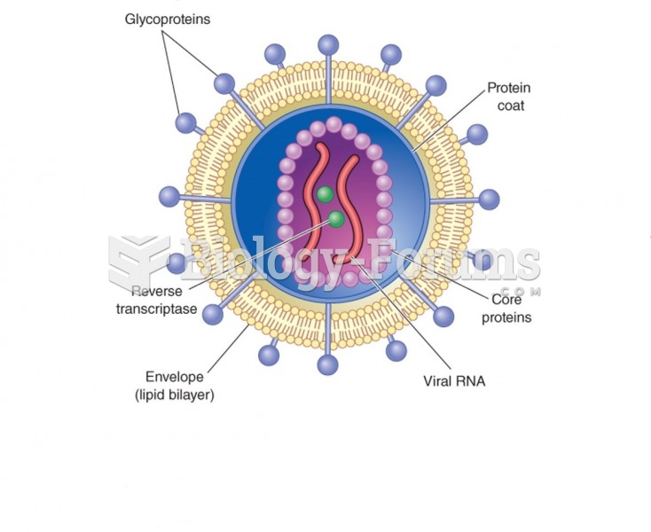 Structure of human immunodeficiency virus