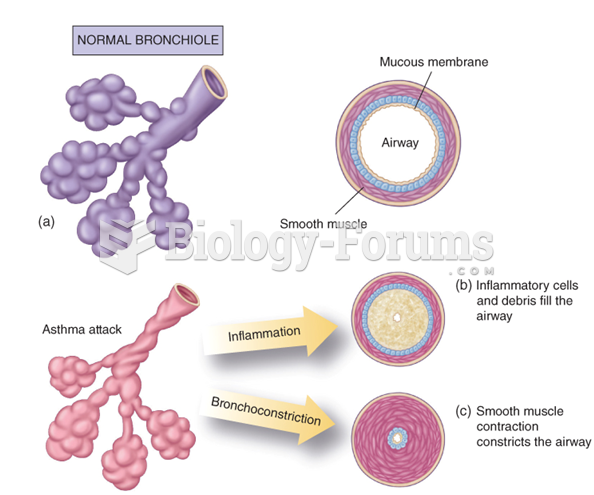 Changes in bronchioles during an asthma attack