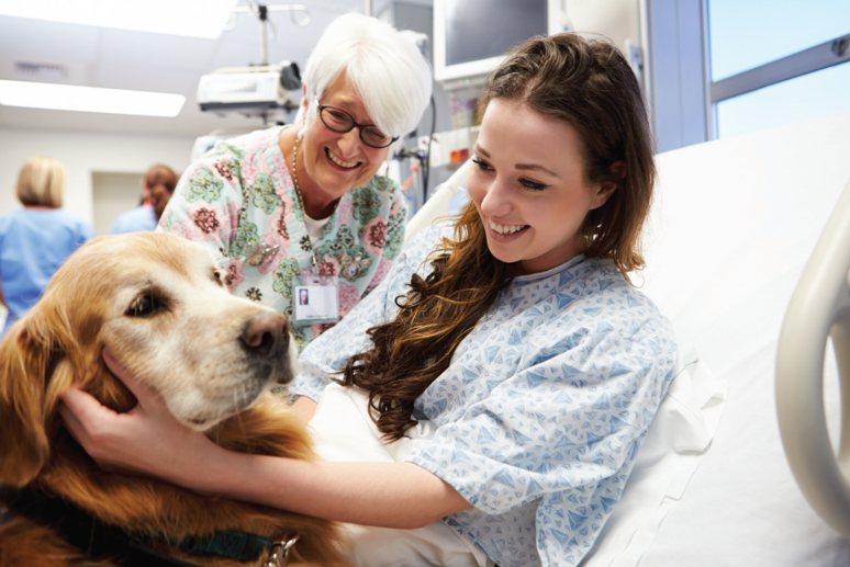 Therapy Animals