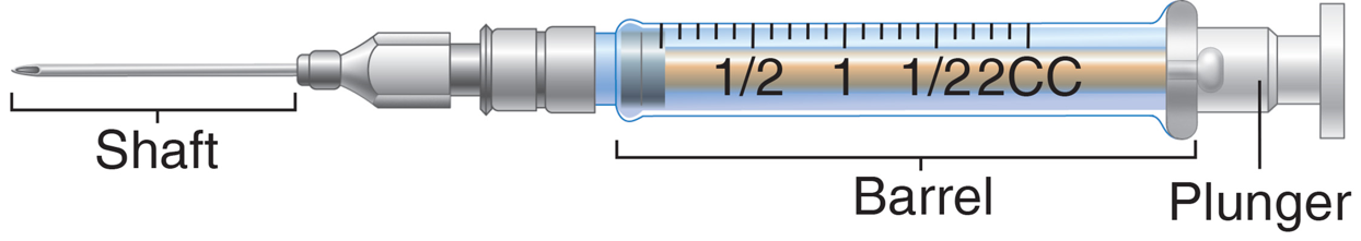 The Plunger and Barrel of a Standard Syringe