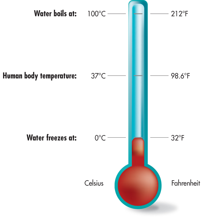 Thermometer Showing the Temperatures