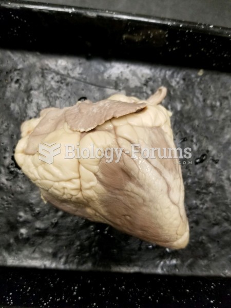 Dissection of Sheep Heart
