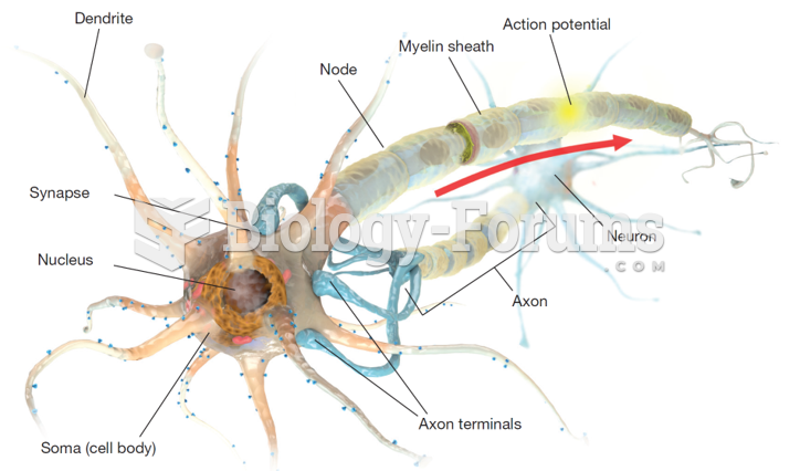 The Structure of a Neuron