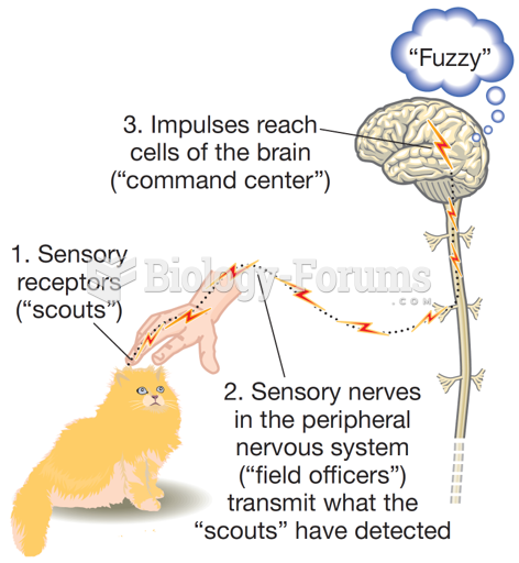 The General Process of Sensation