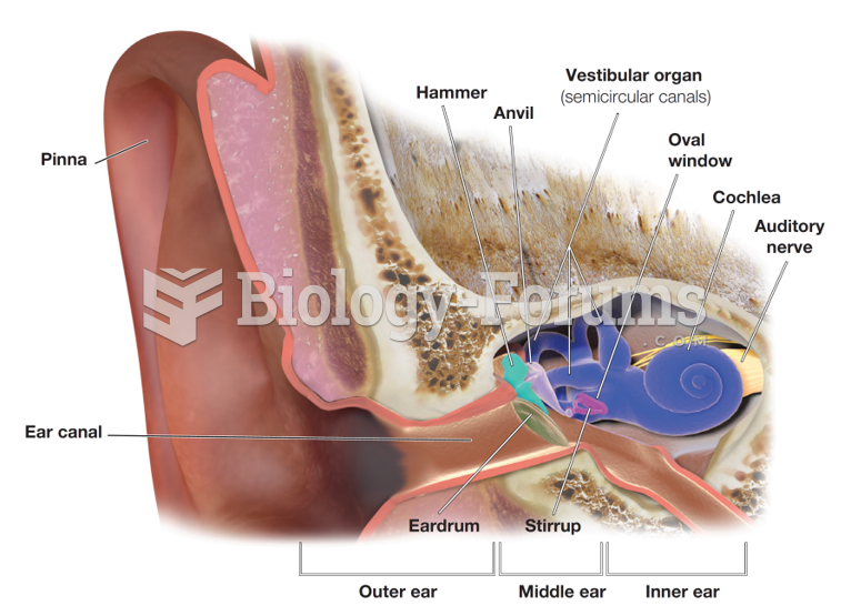 Major Structures of the Ear