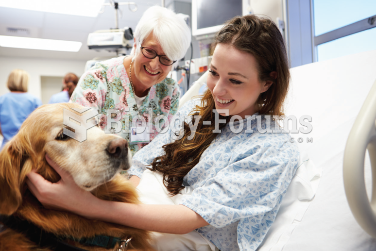 Therapy Animals