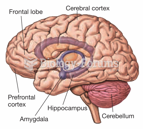 Brain Areas Involved in Memory