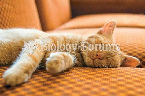 Stages of Sleep in Cats: During the REM phase , its muscles go limp and it flops onto its side