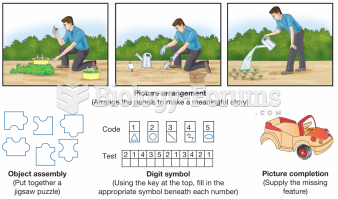 Performance Tasks on the Wechsler Tests