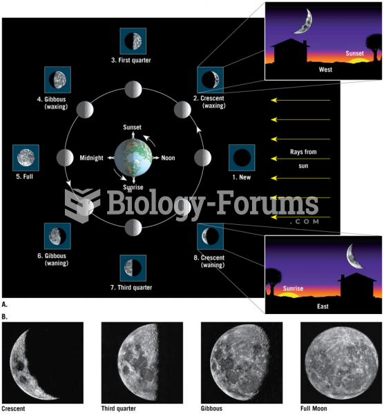 Phases of the Moon