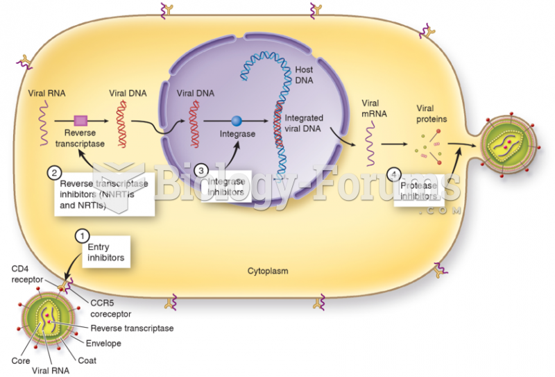 Replication Cycle of H I V