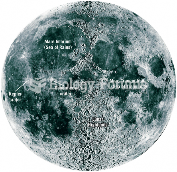 Telescopic View of the Lunar Surface