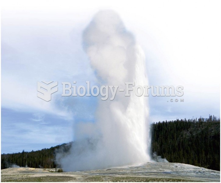 Old Faithful Geyser in Yellowstone National Park