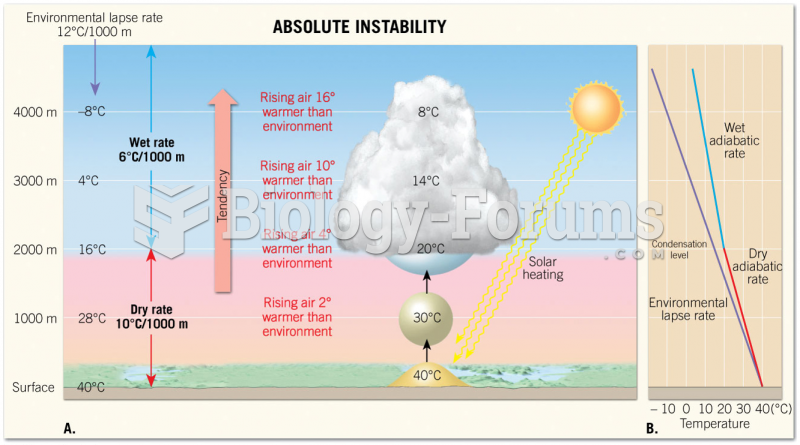 Absolute Stability