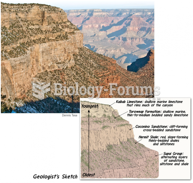 Superposition Is Well Illustrated in the Grand Canyon