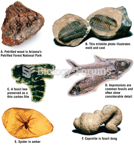 Types of Fossils