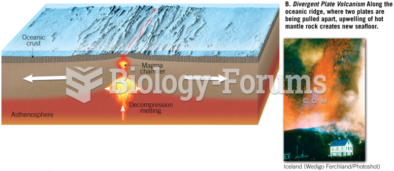 Divergent Boundary