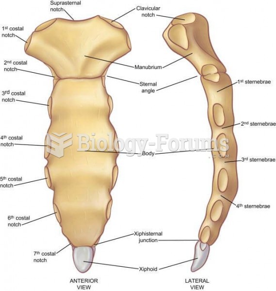 Sternum anatomy