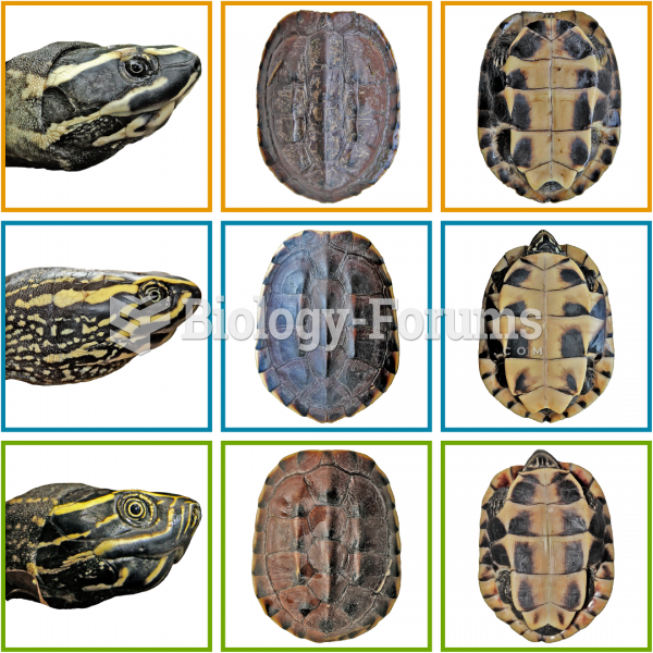 Morphological differences in shell characteristics and head colouration patterns