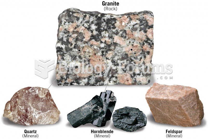 Rocks are Aggregates of Minerals