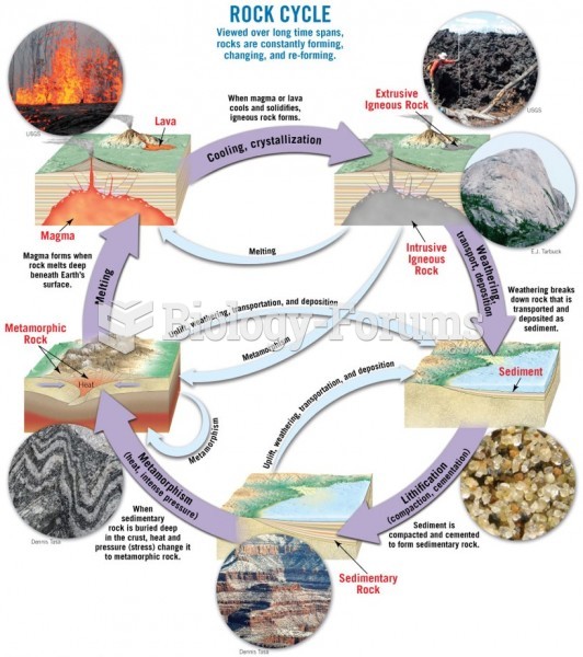 The Rock Cycle