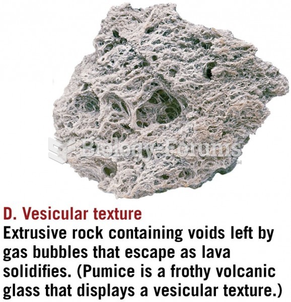 Vesicular Igneous Texture