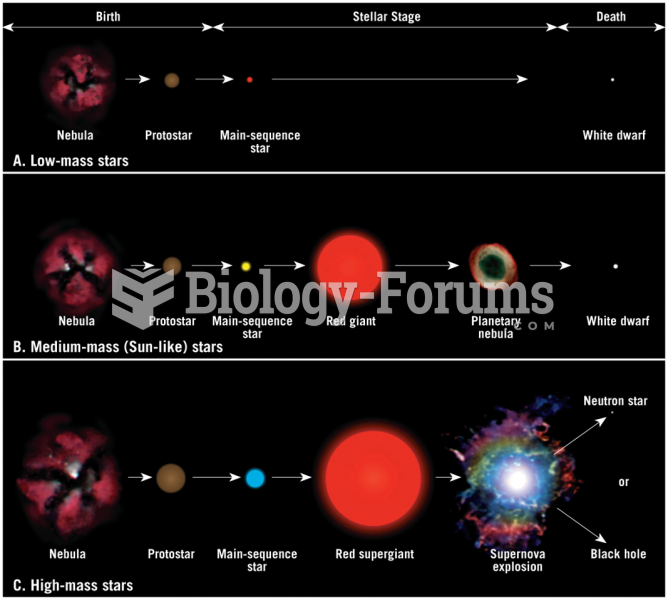 Evolutionary Stages of Stars