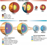 Comparing Internal Structures of the Planets