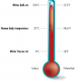 Thermometer Showing the Temperatures