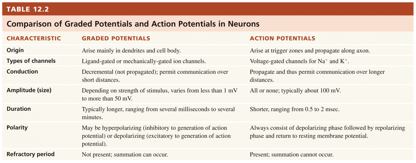 Comparison of Graded & Action Potentials