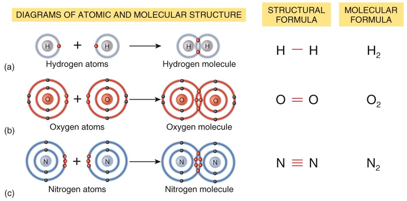 Covalent Bonds رابطة تساهمية