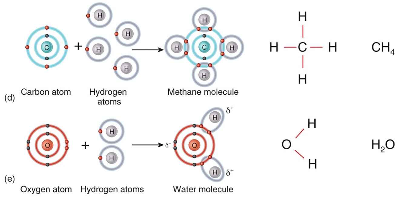 Covalent Bonds رابطة تساهمية